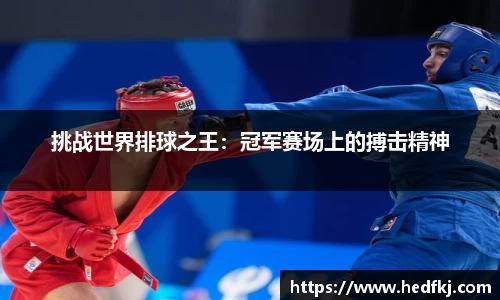 挑战世界排球之王：冠军赛场上的搏击精神